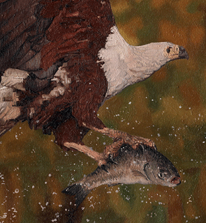 Original oil painting 'Fish Eagle' depicting an African Fishing Eagle, for more bird art works and for larger images and further information click on this image.