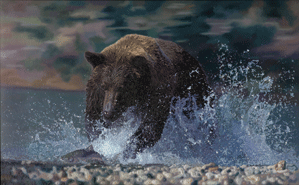 Original oil painting ‘Intent On Lunch,’ a wild grizzly bear catching salmon in Alaska; exhibited globally and admired by art collectors in the UK, USA and Canada, for larger images and further information click on this image.