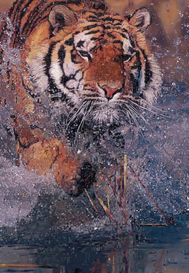Part of the painting 'The Wet Approach', a bengal tiger hunting
