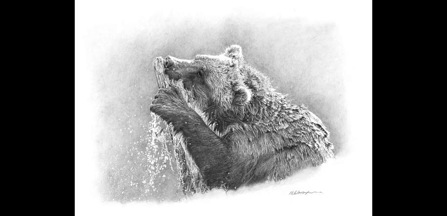 Bear Art, Grizzly Bear Art, Bear Art Print, Brown Bear Print, Bear Hunting, Grizzly Bear Hunting, Limited Edition Print, Archival Art Print, Fine Art Print, Limited Edition Prints, European Brown Bear, Bear Aware, Art Print Gallery, Bear Fishing, Wild Bear