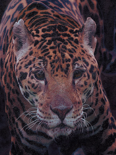 Jaguar Cat Oil Painting Jaguar Cat Oil Painting