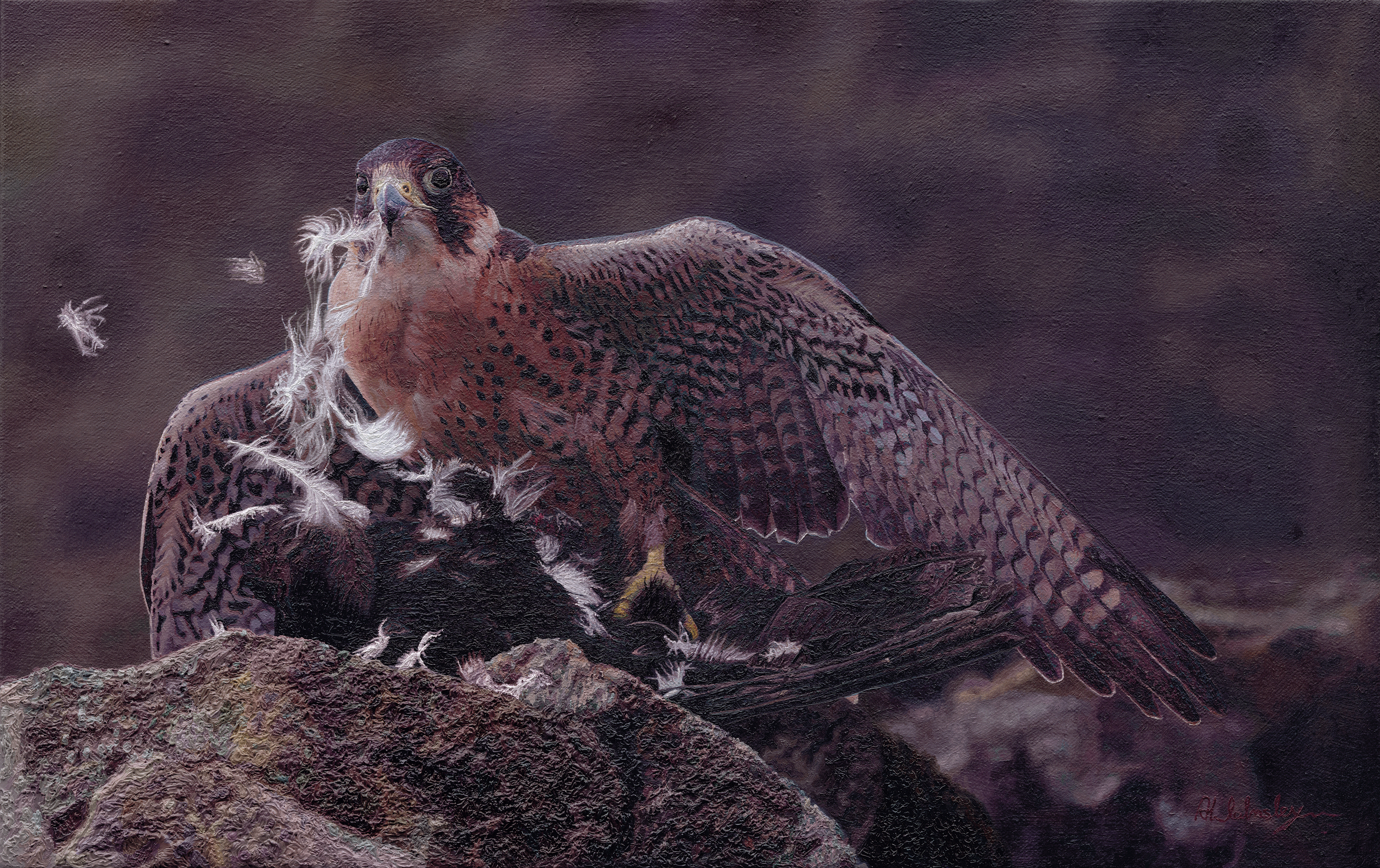 An Oil Painting of a hunting peregrine falcon clutching its carrion crow An Oil Painting of a hunting peregrine falcon clutching its carrion crow