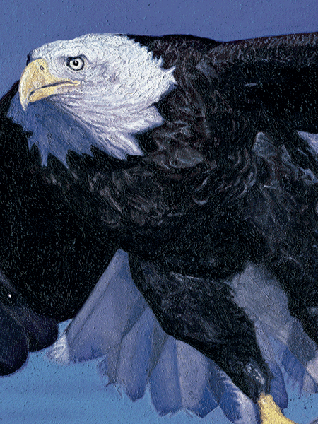 Oil Painting of a Bald Eagle Catching Fish, Alaska Oil Painting of a Bald Eagle Catching Fish, Alaska