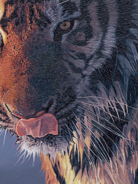 Oil Painting of a Siberian Tiger Breaking Ice Oil Painting of a Siberian Tiger Breaking Ice