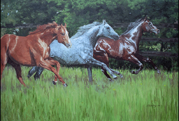 oil painting of 3 Darley Stallions oil painting of 3 Darley Stallions