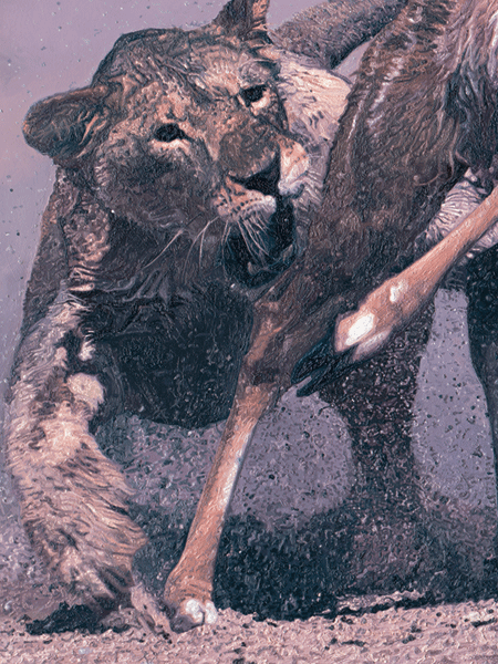 Oil Painting of a African Lioness hunting a Kudu Oil Painting of a African Lioness hunting a Kudu