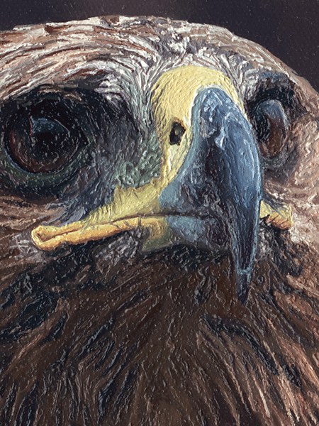 An Oil Painting of a Golden Eagle An Oil Painting of a Golden Eagle