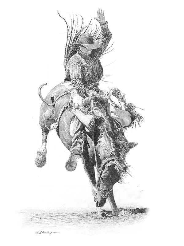 A Drawing of a rodeo rider during a split second at the Calgary Stampede A Drawing of a rodeo rider during a split second at the Calgary Stampede