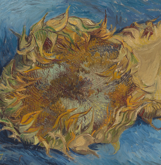 Van Gogh, Sunflowers 1887 Van Gogh, Sunflowers 1887