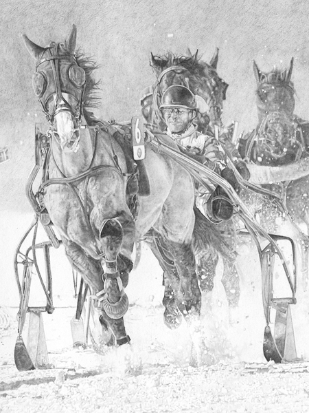 The 100th anniversary of 'White Turf,' showing the trotting sled racing on the Frozen Lake at St Moritz, Switzerland The 100th anniversary of 'White Turf,' showing the trotting sled racing on the Frozen Lake at St Moritz, Switzerland