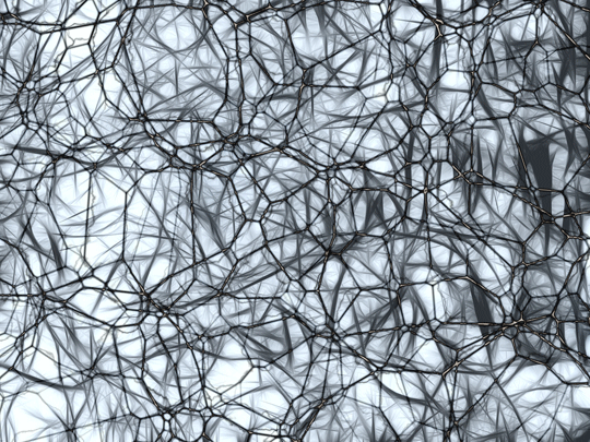Neurons Neurons